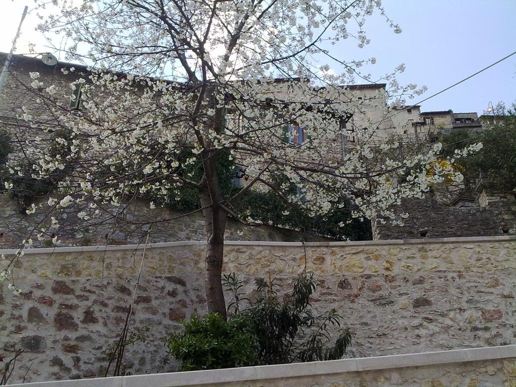 Il Paradiso Nel Borgo Arrone Ngoại thất bức ảnh